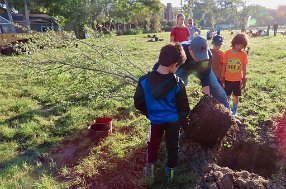 IMG_7555 planting a live oak, Exploration Green, Houston, TX