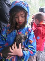 IMG 1651  Megan holding alaska husky puppy, Seavey's Iditaride, Seward, AK