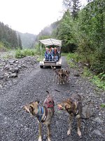 IMG 7602  Sled Dog and cart, Seavey's Iditaride, Seward, AK
