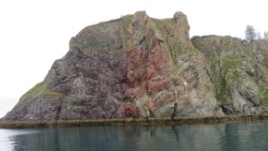 IMG 1784  Colorful geologics, Hesketh Island, Kachemak Bay