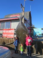 IMG 1938  with Giant Halibut, Homer Spit, AK