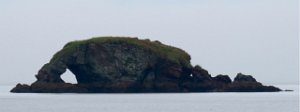IMG 8182  Elephant Island,  Eldred Passage, AK