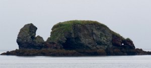 IMG 8183  Elephant Island, trunk raised, Eldred Passage, AK