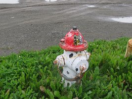 IMG 8342  Dalmatian Fire Hydrant, Seldovia, AK