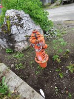 IMG 8343  Tiger Fire Hydrant, Seldovia, AK