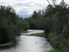 IMG 5368  Ship Creek Upstream, Anchorage, AK