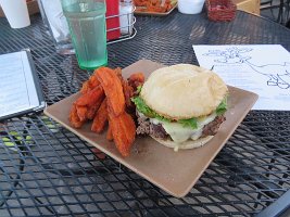 IMG 5729  Humburger and Sweet Potato Wedges, Twisted Creek Pub, Talkeetna, AK