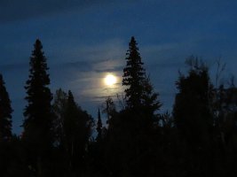 IMG 5771  Full Moon, Talkeetna Alaskan Lodge, Talkeetna, AK
