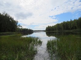 IMG 5820  Canoe Portage path, Talkeetna Lakes, Talkeetna, AK