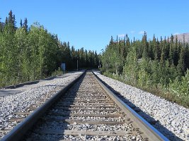 IMG 6305  Rail Tracks near the Horseshoe Lake Trail, Denali National Park