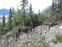 IMG 0882  Winston, Jumbo Creek, Root Glacier Trail, Wrangell-St. Elias National Park, AK