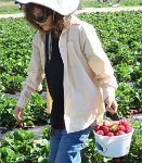 IMG 7099  Mommy's bucket of Strawberries, Froberg's Farm, Alvin, TX