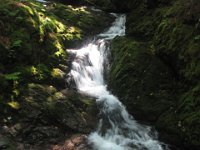 IMG 4958  Dickson Falls, Fundy National Park