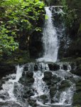 IMG 4978  Dickson Falls, Fundy National Park