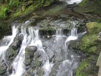 IMG 4983  Dickson Falls, Fundy National Park
