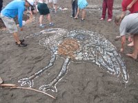 IMG 5143  Filling in the Heron outline, Tidal Art Project, Alma Beach, Fundy National Park