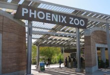 IMG_3210 Phoenix Zoo, AZ