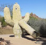 IMG_3232 Cactus slide, Phoenix Zoo, AZ