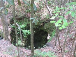 IMG_1487 Sink Hole, Falling Waters State PArk