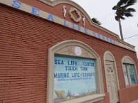 IMG 5994  Sea Life Center, Port Isabel, TX