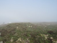 IMG 5486  Foggy sand dunes, South Padre Island, TX