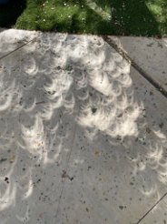 IMG_7955 Partial Eclipse Shadows, The Witte Museum, San Antonio, TX