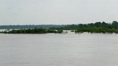 IMG_9436 Flooded Arkansas River, Muskogee, OK