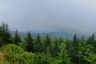 IMG_3379 Forney Ridge, Great Smoky Mountains