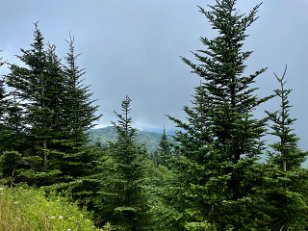 IMG_6407 Forney Ridge, Great Smoky Mountains