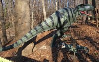 IMG 7619  Tyrannosaurus Rex, Virginia Living Museum, Newport News, VA