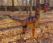 IMG 7628  Velociraptor, Virginia Living Museum, Newport News, VA