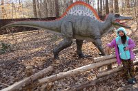 IMG 7630  Spinosaurus, Virginia Living Museum, Newport News, VA