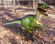 IMG 7634  Dromaeosaurus, Virginia Living Museum, Newport News, VA