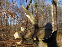 IMG 7639  Triceratops, Virginia Living Museum, Newport News, VA