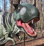 IMG 7647  Tyrannosaurus Rex, Virginia Living Museum, Newport News, VA