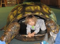 IMG 7707  Phelan in Turtle Shell, Virginia Living Museum, Newport News, VA