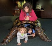 IMG 7708  Turtle Shell, Virginia Living Museum, Newport News, VA