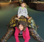 IMG 7711  Phelan and Mommy with Turtle Shell, Virginia Living Museum, Newport News, VA