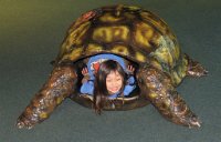 IMG 7727  Megan in the Turtle Shell, Virginia Living Museum, Newport News, VA