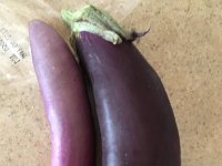 IMG 6716  Eggplant