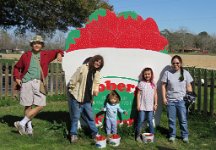 FrobergFarmStrawberry Strawberry Picking at Froberg's Farmwith Cousin Connie, Alvin, TX